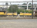 UPY 1313